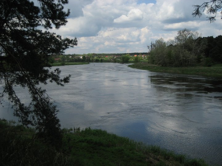 IMG_2544.JPG - Warta pod Obrzyckiem wygląda tak poważnie, jak by pretendowała do miana Królowej Rzek... przynajmniej w Polsce