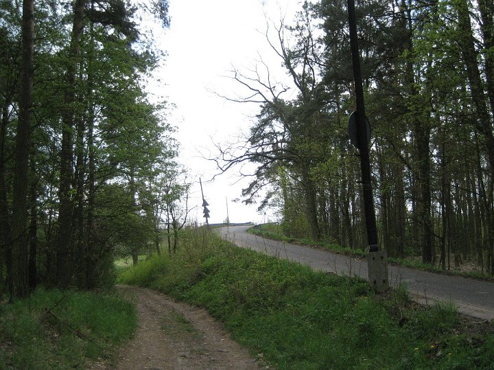 IMG_2562.JPG - Dwa poprzednie zdjęcia zrobiłem z wiaduktu na tej szosie (tam na górze). Aby wejść na most, trzeba było się cofnąć i wybrać tę leśną drogę