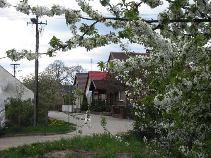 IMG_2597.JPG - Ech wiosna...