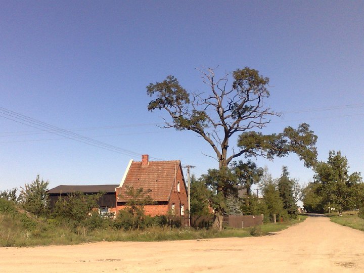 20080831276.jpg - Ciekawy domek w Mściszewie