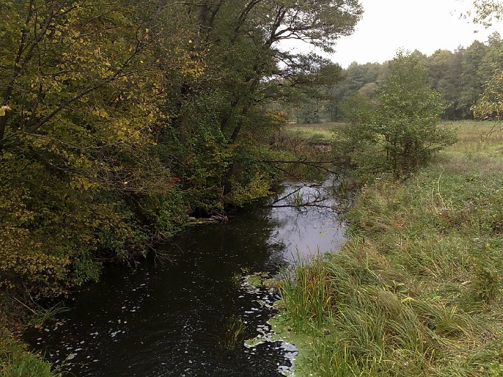 20081012538.jpg - Malownicze krajobrazy po drodze z Raczkowa do Skoków